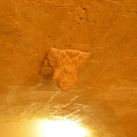 Versosud Cave * Bari